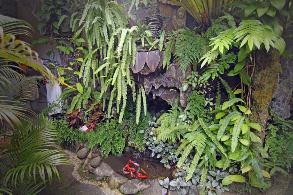 Praety Home Stay Ubud  Bilik gambar